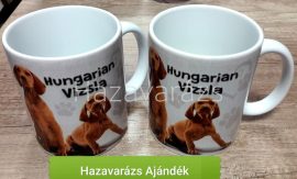 HUNGARIAN VIZSLA BÖGRE 3 DL