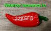 PIROS PAPRIKA MŰGYANTA MÁGNES SZEGED FELIRATTAL