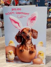 HÚSVÉTI KÉPESLAP NYUSZIFÜLES TACSI