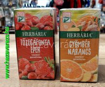   TÖZEGÁFONYA-EPER *VAGY* GYÖMBÉR-NARANCS ÍZESÍTÉSŰ GYÜMÖLCSTEA 40G